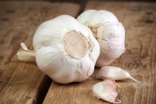 Imagen ilustrativa del artículo 7 increíbles beneficios del ajo (con recetas)