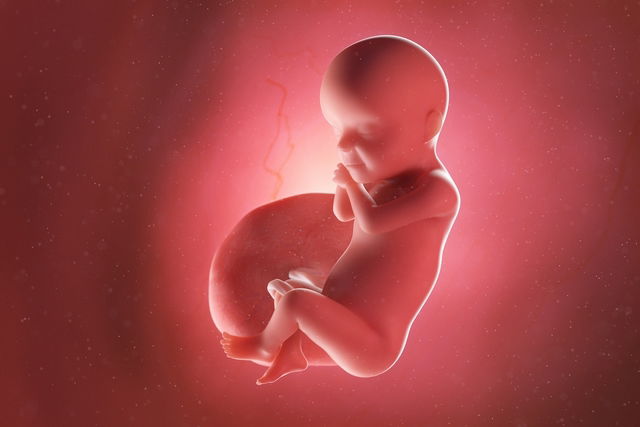 Imagem ilustrativa do artigo Desenvolvimento do bebê - 30 semanas de gestação