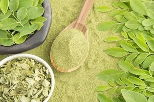 Image illustrative de l'article Moringa: bienfaits, effets indésirables et comment consommer