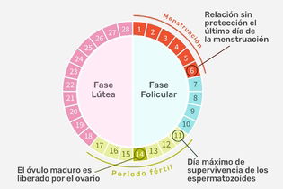 Imagen ilustrativa del artículo ¿Es posible quedar embarazada durante la menstruación?