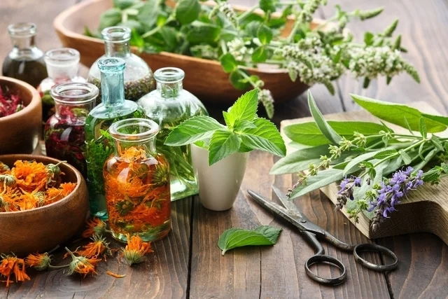 Imagen ilustrativa del artículo 10 Remedios caseros y naturales para la gastritis (comprobados)